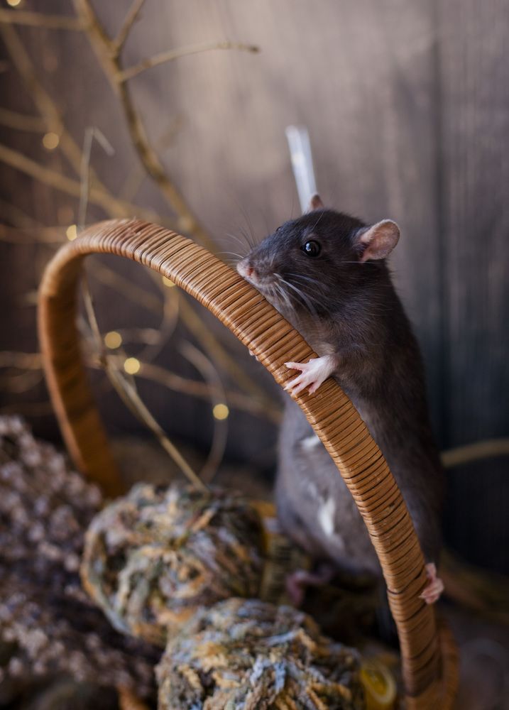 Photograph by Светлана Лукашова