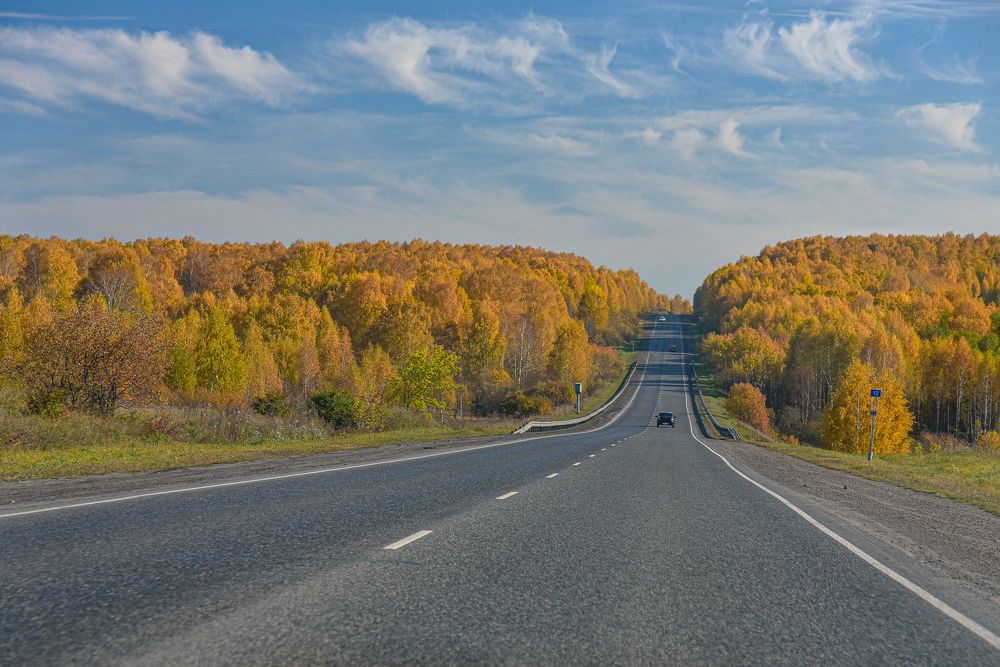 Осенняя дорога