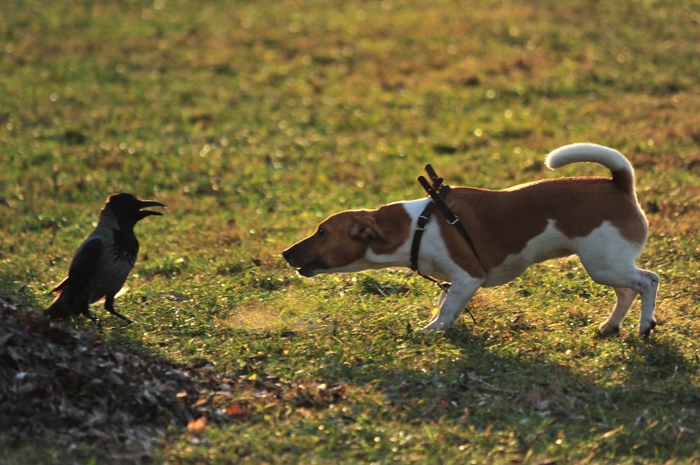 Photograph by Юрий Яковлев