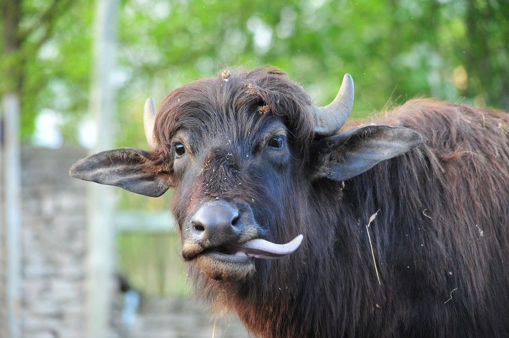 Photograph by Юрий Яковлев