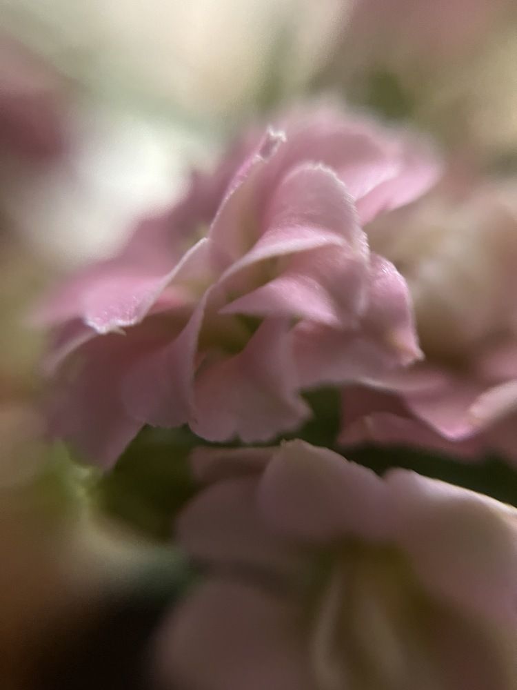 Photograph by Евгения