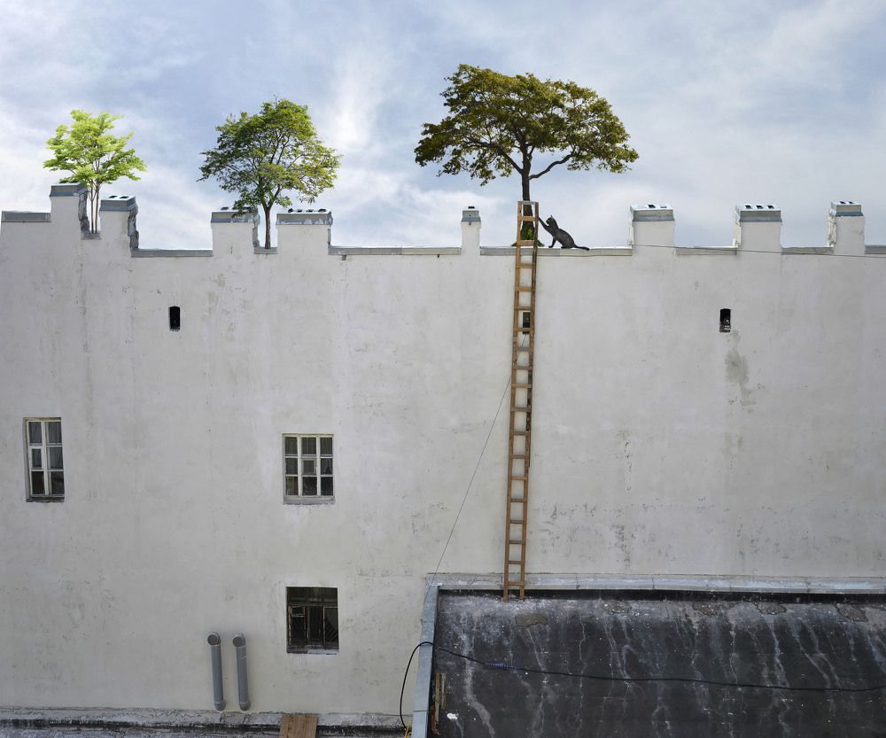 Photograph by Борис Кравецкий