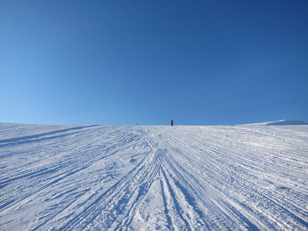 Photo #9651628