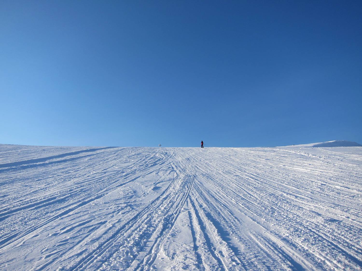 Photo #9651628