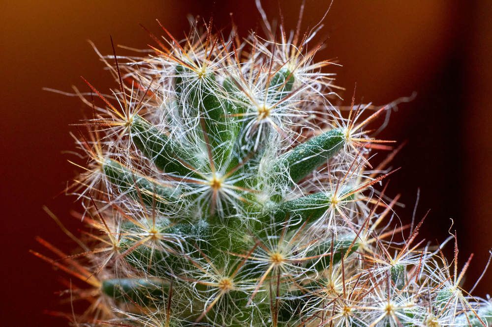 Photograph by Алексей Швецов