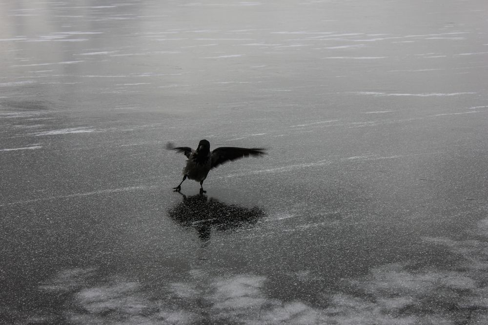 Photograph by Димитрий Осинцев