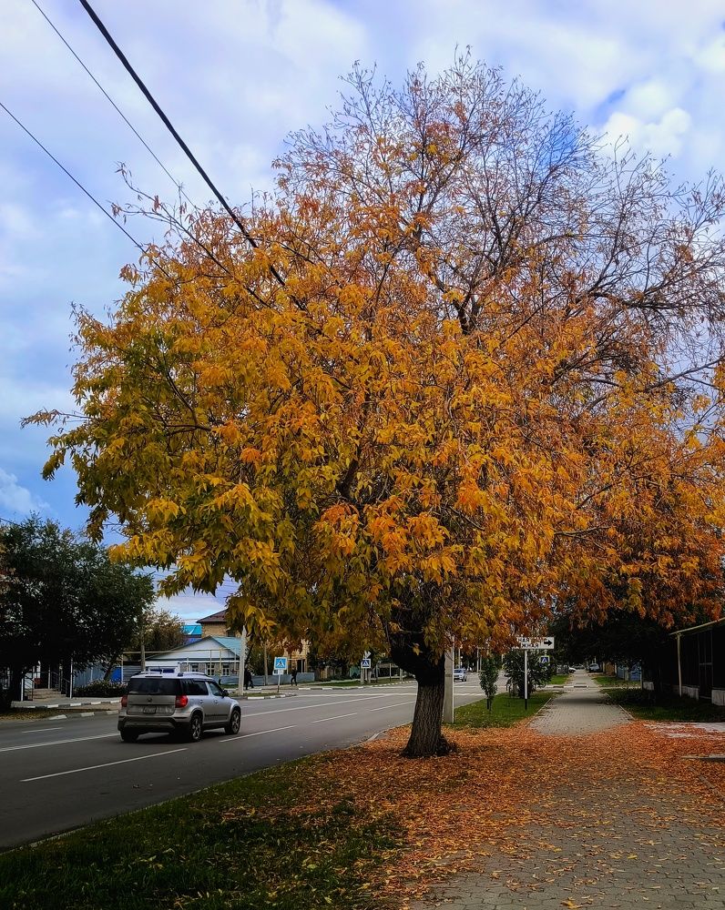 Photograph by Дамир Батряков