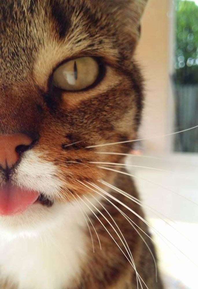 Photograph by Sonia Crotta