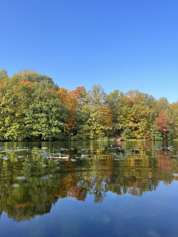 Фотография автора Марина