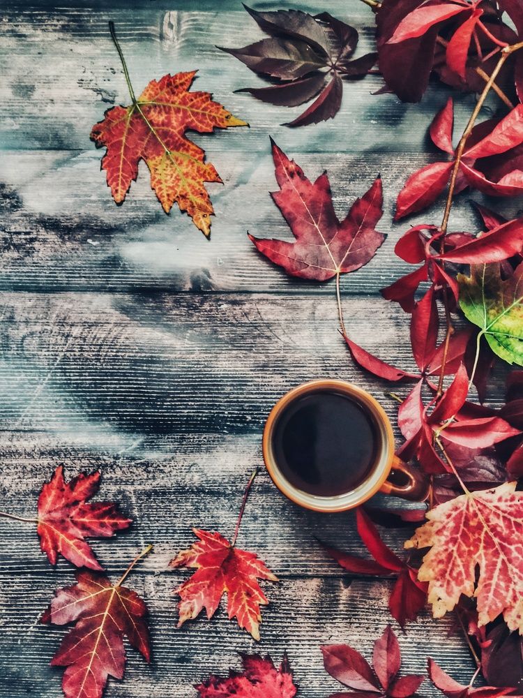 Photograph by Новикова Елена Сергеевна