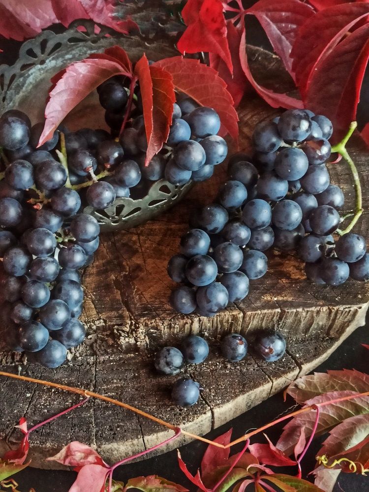 Photograph by Новикова Елена Сергеевна