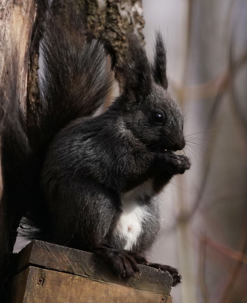 Фотография автора Галина