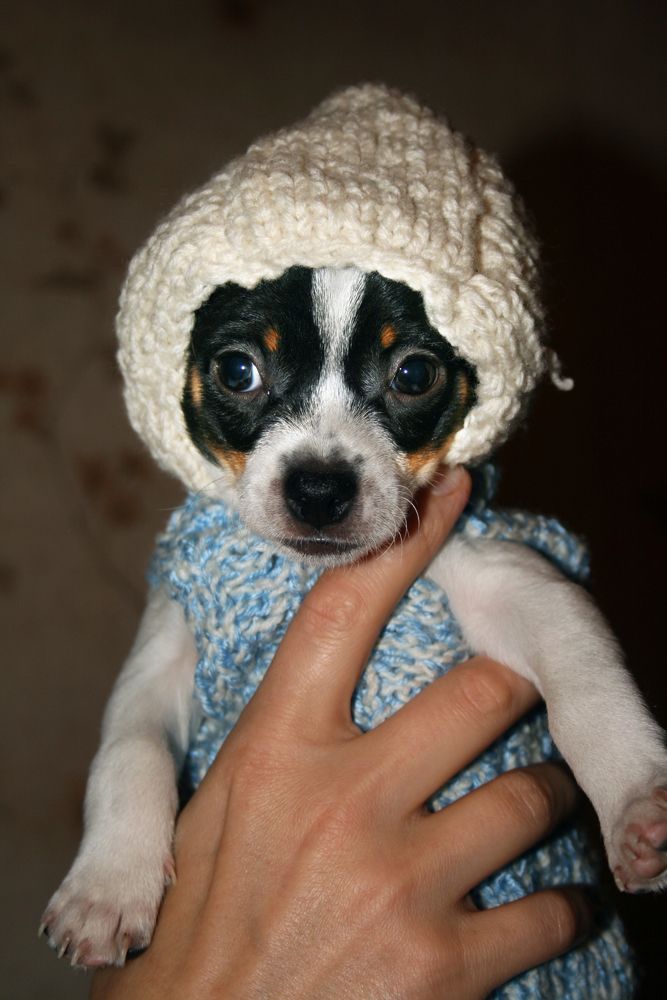 Photograph by Николай Осипенко