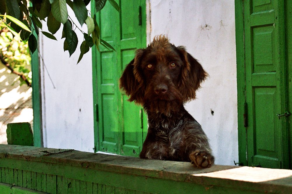 Photograph by Николай Осипенко