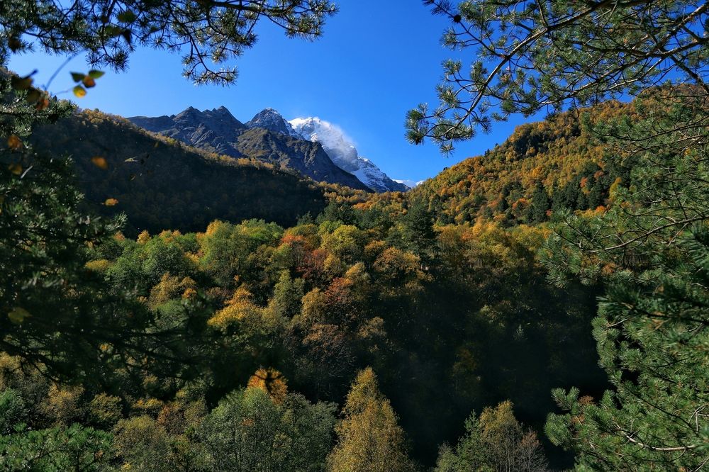 Photograph by Валентина Спиридонова