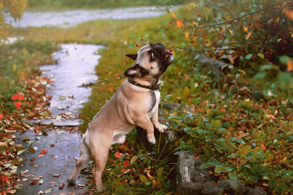 Photograph by Ольга Кочнева