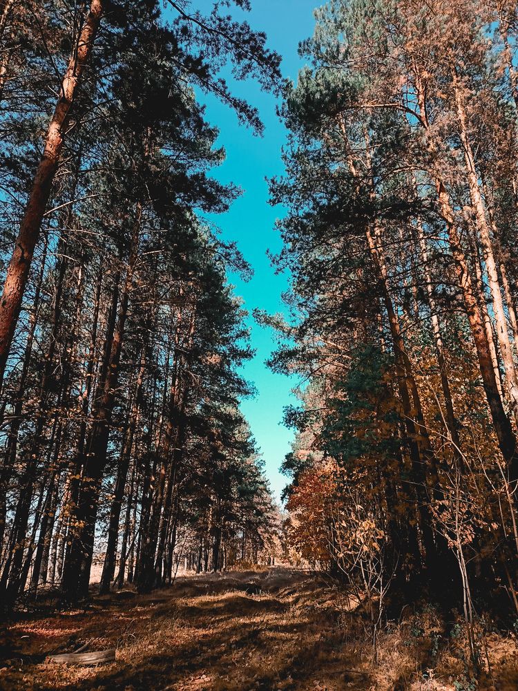 Photograph by Эльмира Гайнутдинова