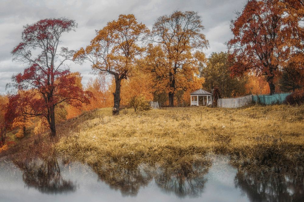 Photograph by Сальников Евгений