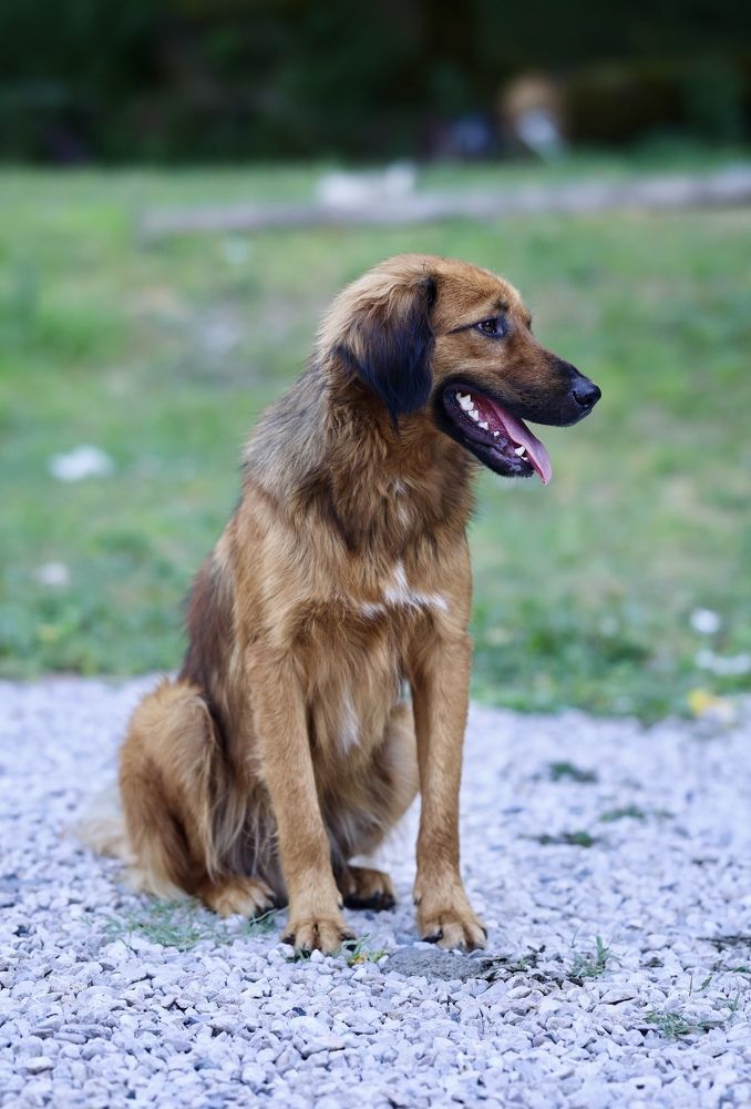 Фотография автора Andrey Ovcharov