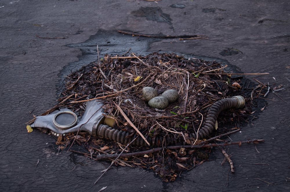 после цивилизации