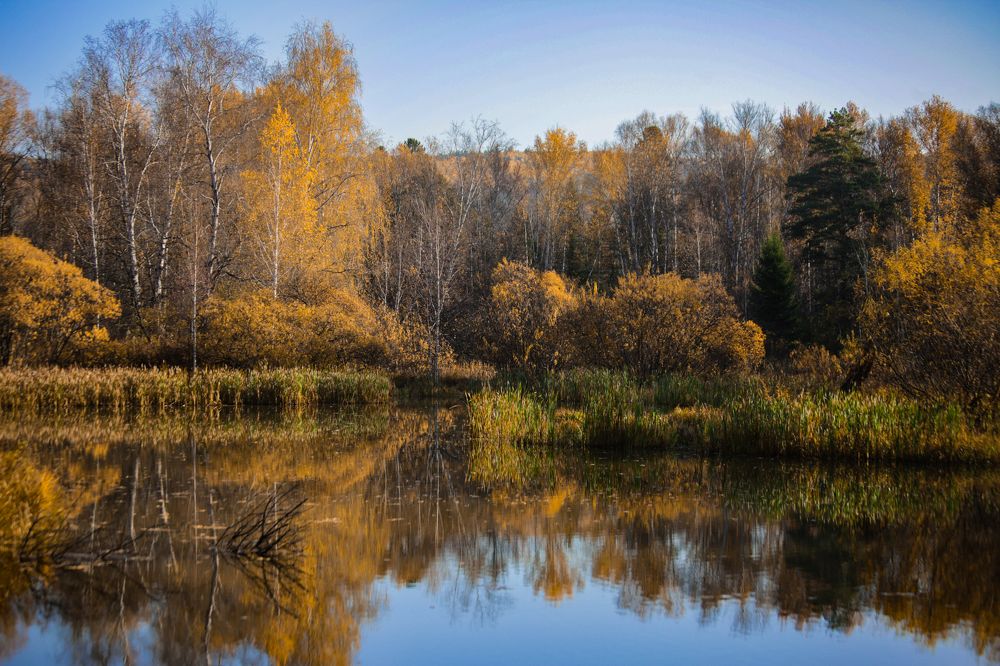 Photograph by Евгений Авдеев