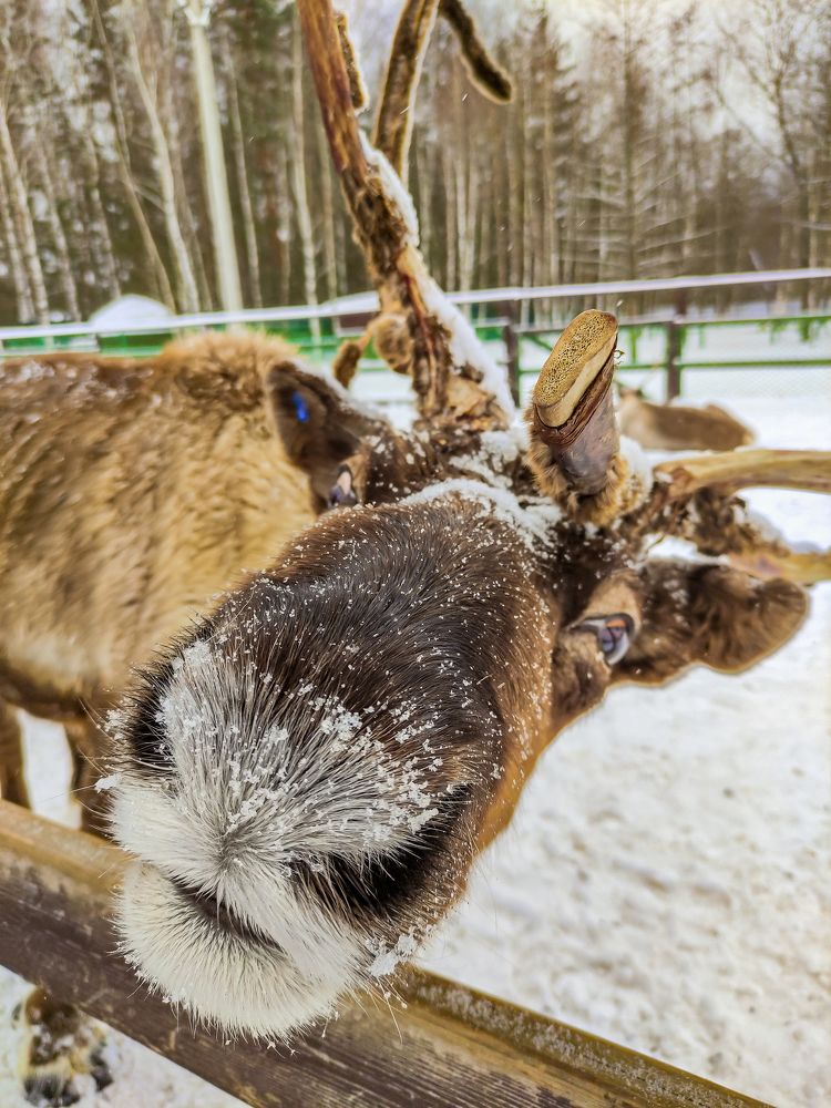 Фотография автора Александр Хухлов