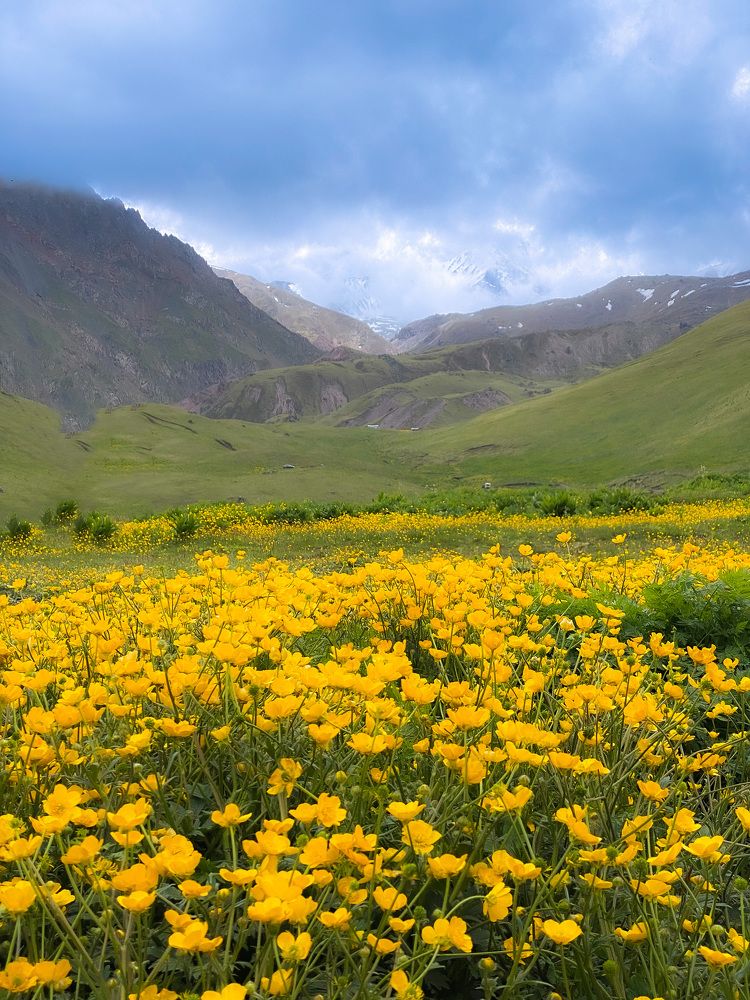 Photograph by Юлия Субботина