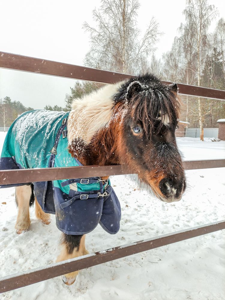 Фотография автора Александр Хухлов