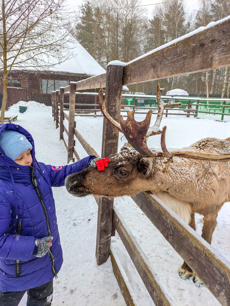 Фотография автора Александр Хухлов