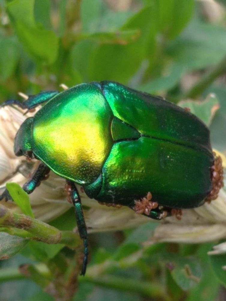 Photograph by Елена Коробченко