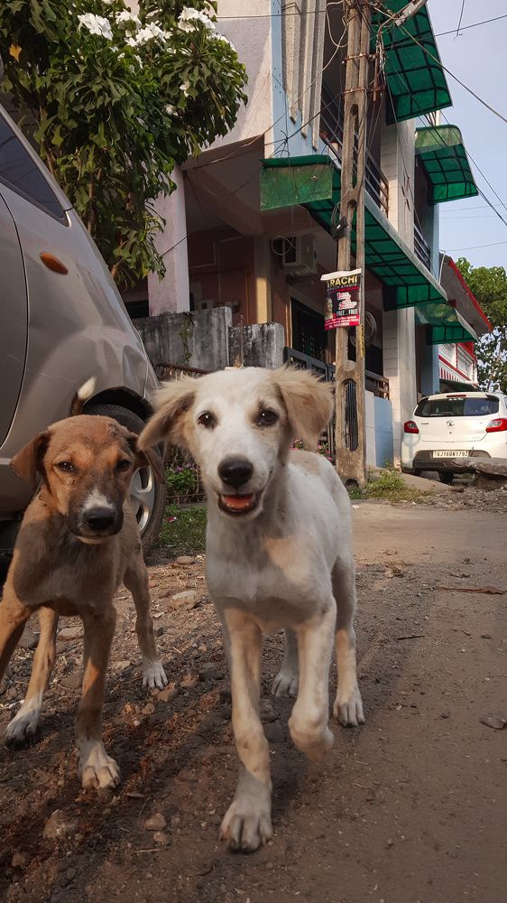 Photograph by Vraj Makwana