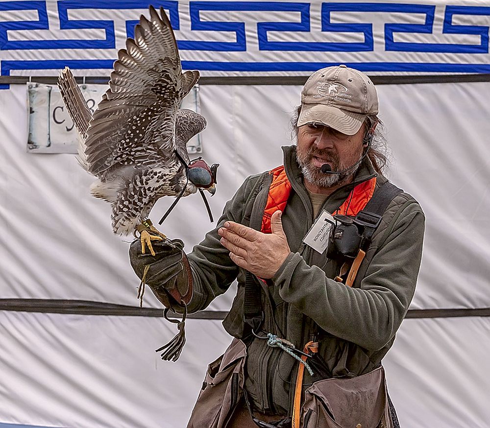 Хозяин соколиной фермы