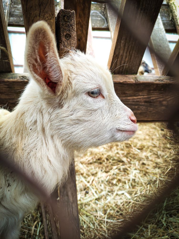 Фотография автора Александр Хухлов