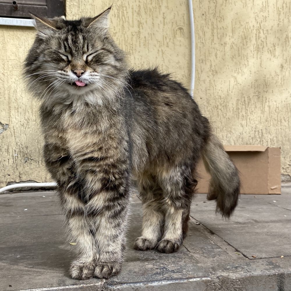 Photograph by Сергей Смирнов