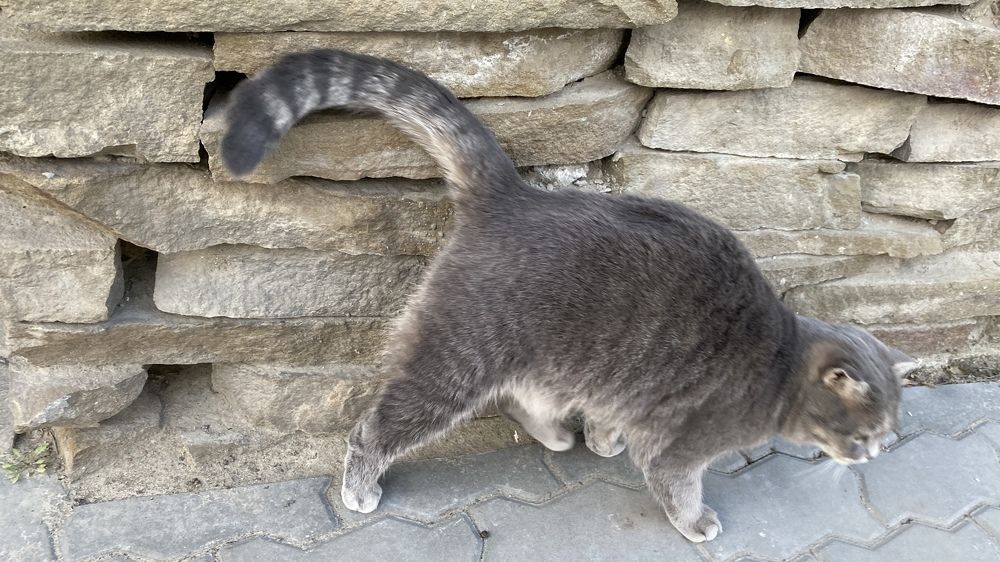 Photograph by Сергей Смирнов