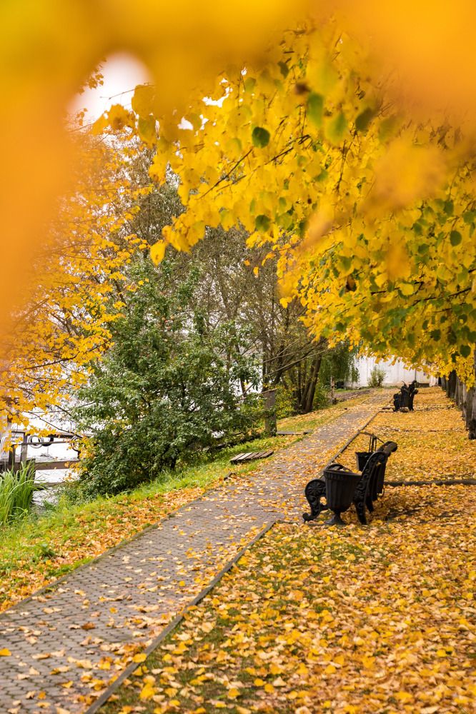 Photograph by Даниил Пузаков