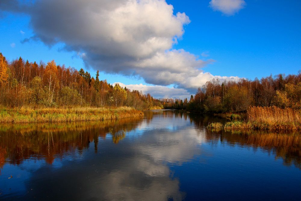 Photograph by Александр Трифанов