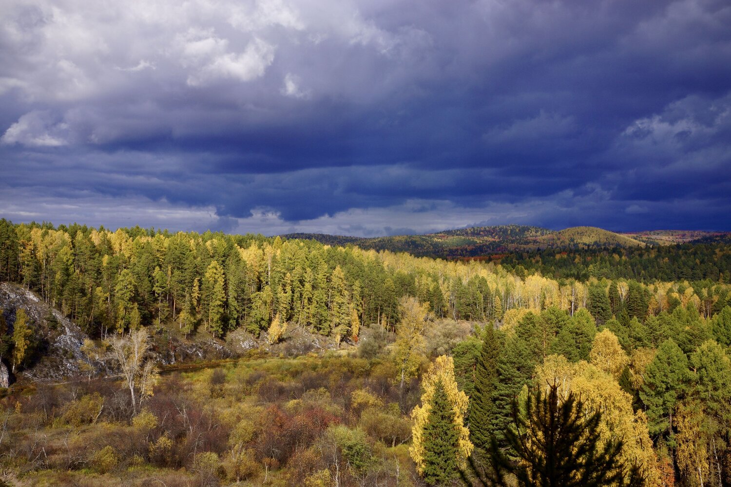 Photo #9652029