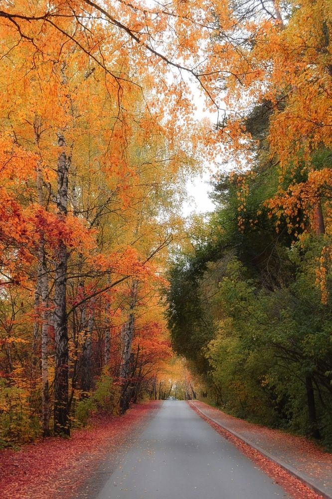 Photograph by Юлия Субботина