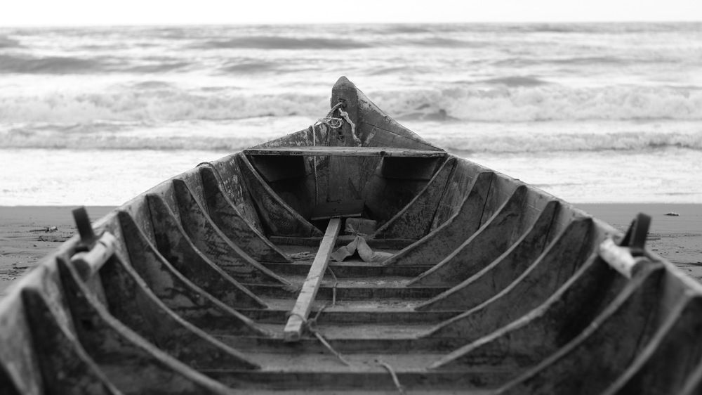 Фотография автора Faeze Eskandari