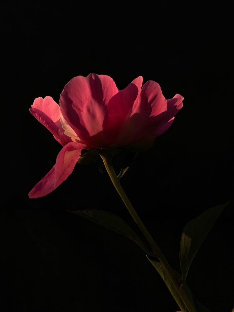 Photograph by Ксения Березкина