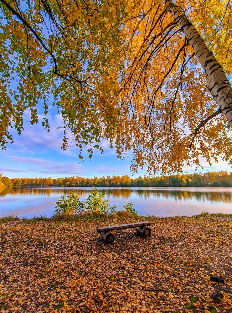 Фотография автора Александр Хухлов