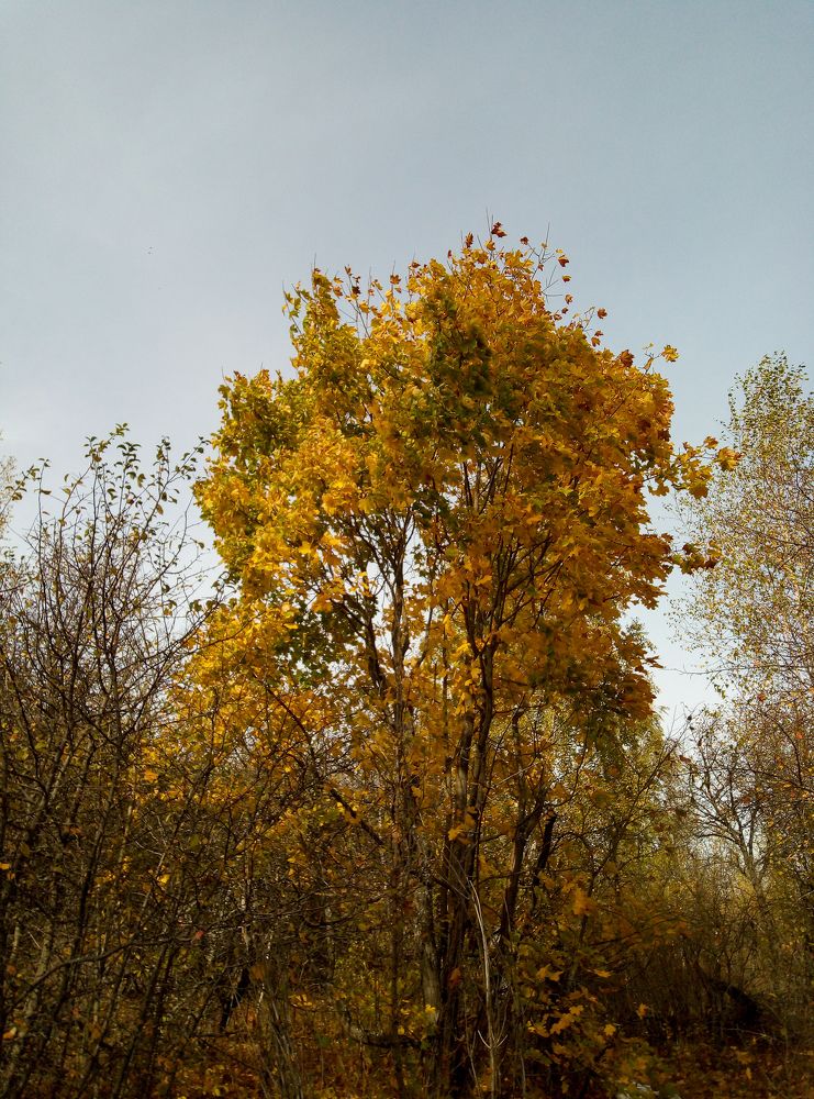 Photograph by Настя Настена