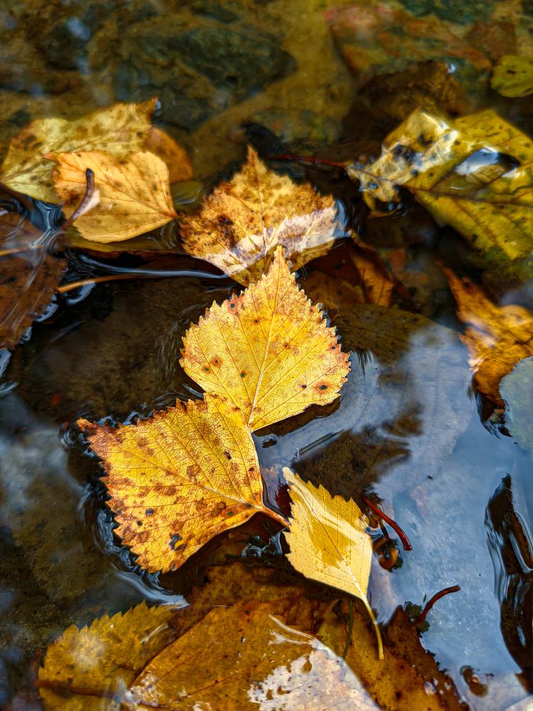Photograph by Александр Хухлов