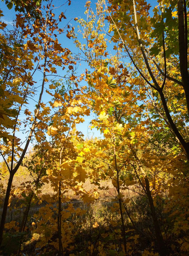 Photograph by Настя Настена