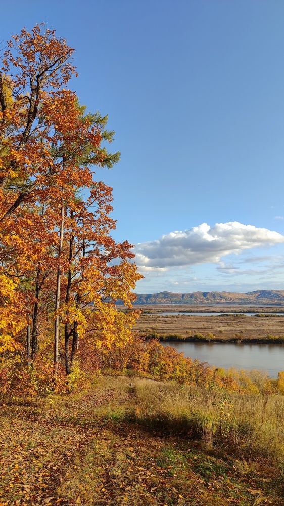 Photograph by Дарья