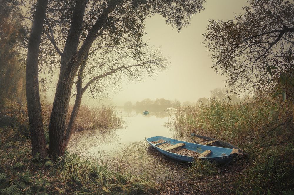 Photograph by Серж Домбровский