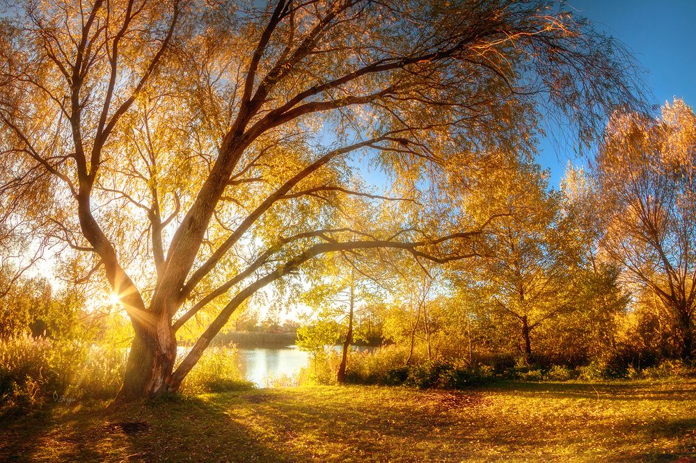 Photograph by Серж Домбровский