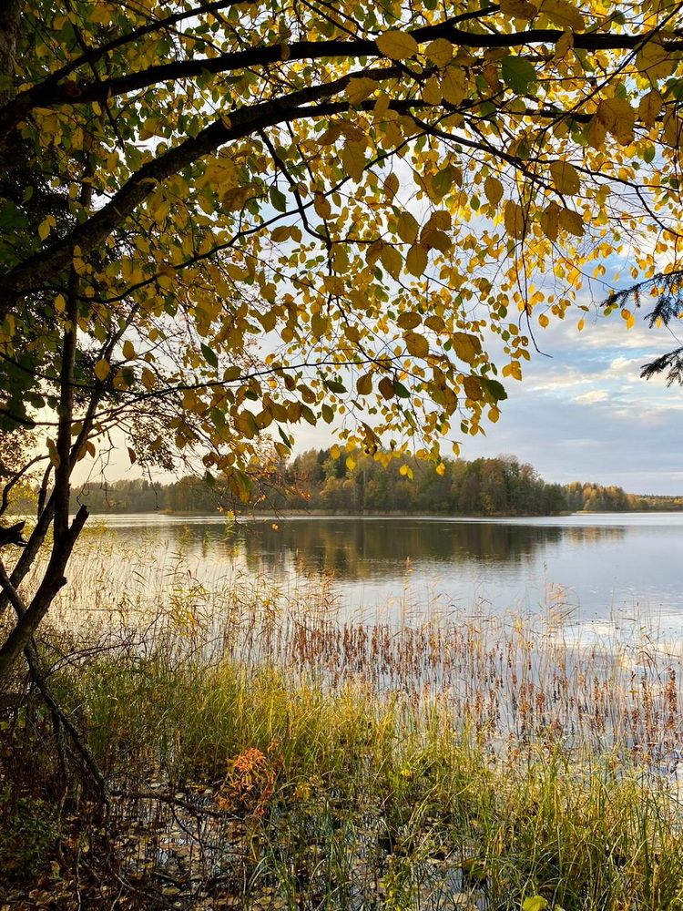 Photograph by Galina Leskova