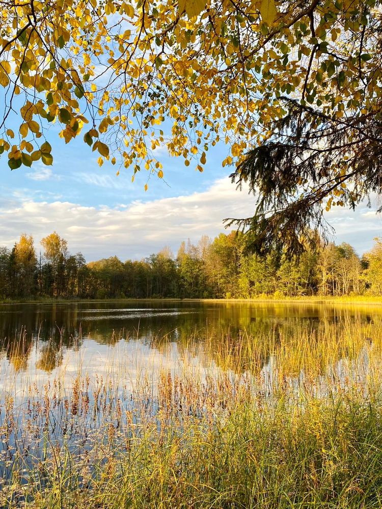 Photograph by Galina Leskova